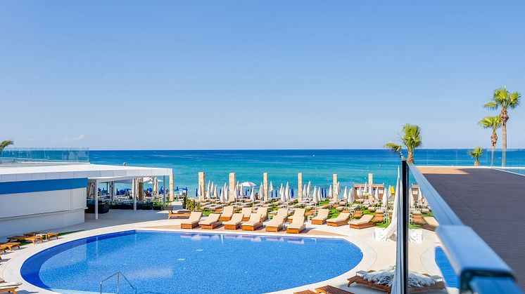 3. Flamingo Paradise_fig-tree-bay