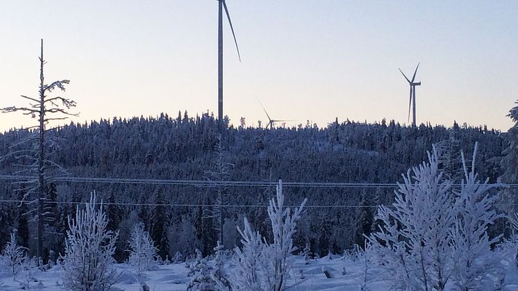 Lapplands Elnät och ONE Nordic får order i hundramiljonersklassen vid bygget av vindkraftparken i Lehtirova.