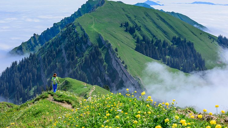 Oberallallgäu