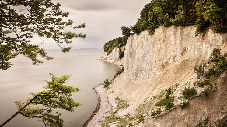 Sassnitz: UNESCO Welterbe Alte Buchenwälder Deutschlands, Jasmund Nationalpark, Kreidefelsen auf der Insel Rügen