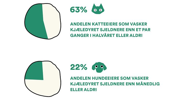 Musti_rapport_kattevask_grafikk_2.jpg