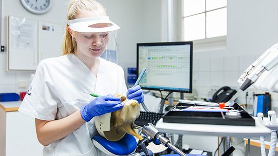 Grönt ljus för att fortsätta utbilda tandhygienister