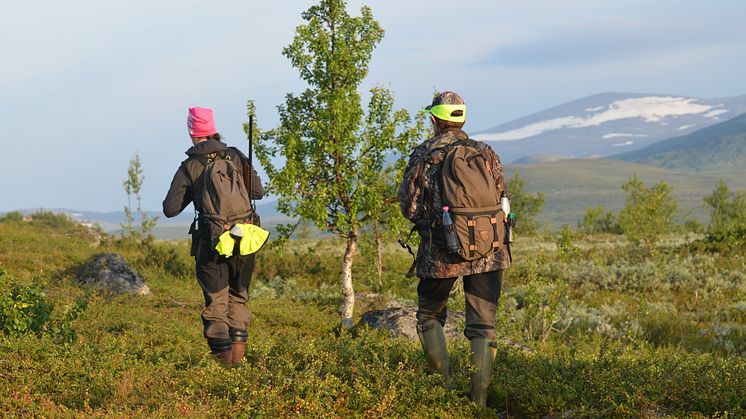 Positiva resultat för jägarna i Sverige