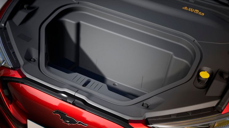 Ford Mustang Mach-E 2019