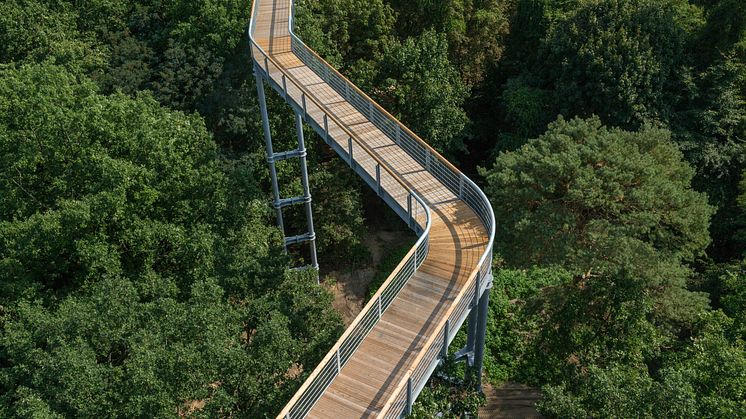 Ideal für einen Familien-Ausflug: Der Baumkronenpfad "Baum & Zeit" Beelitz-Heilstätten. Foto: TMB-Fotoarchiv/Steffen Lehmann. 