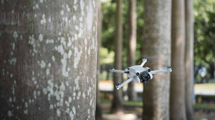 DJI