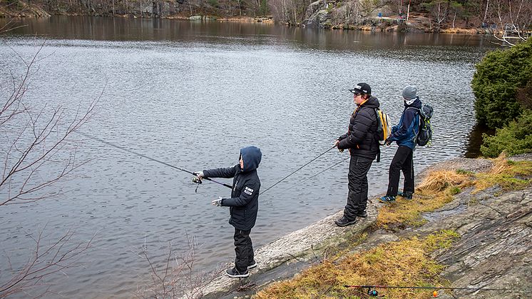 fiskebergsjön8_1000.jpg