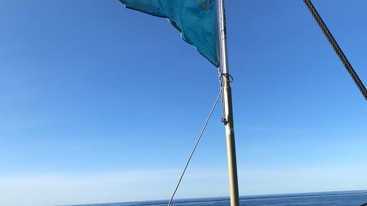 Barken Viking på öppet hav - 2