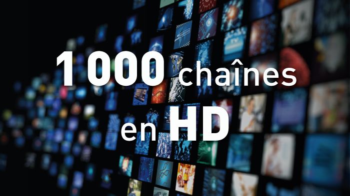 Crédit photo :  Shutterstock
