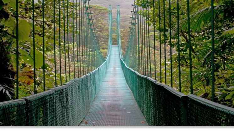 Hanging Bridge molnskogen Costa Rica