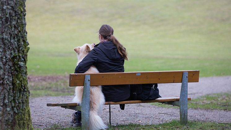 De allra flesta som utsätts för våld i nära relationer är kvinnor. Personen på bilden har inget med texten att göra.