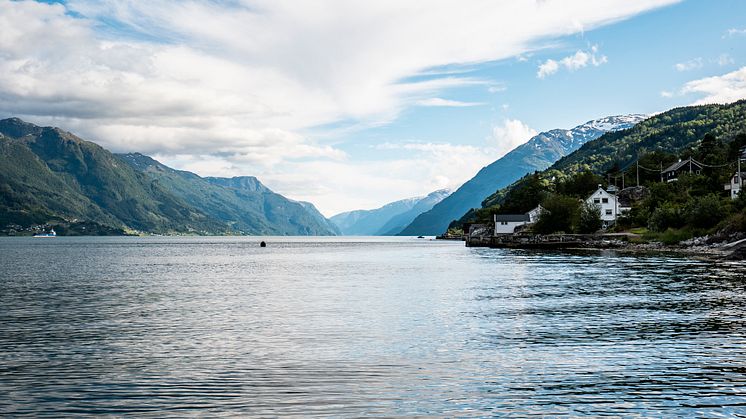 Fra 19. juni kan du bli med på fjorcruise på Sørfjorden i Hardanger