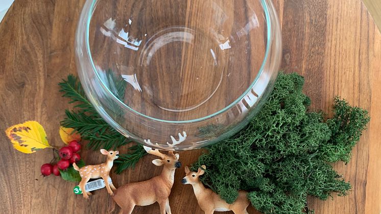 DIY_Mooslandschaft Materialien