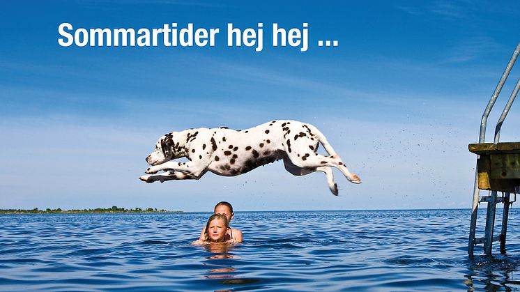 Sommartider för hunden - vykortskampanj