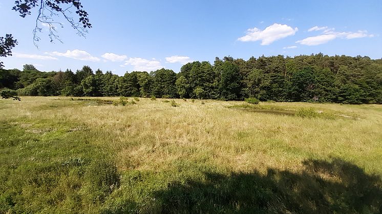 Schenkungsfläche in der Döllbach-Aue im Landkreis Fulda