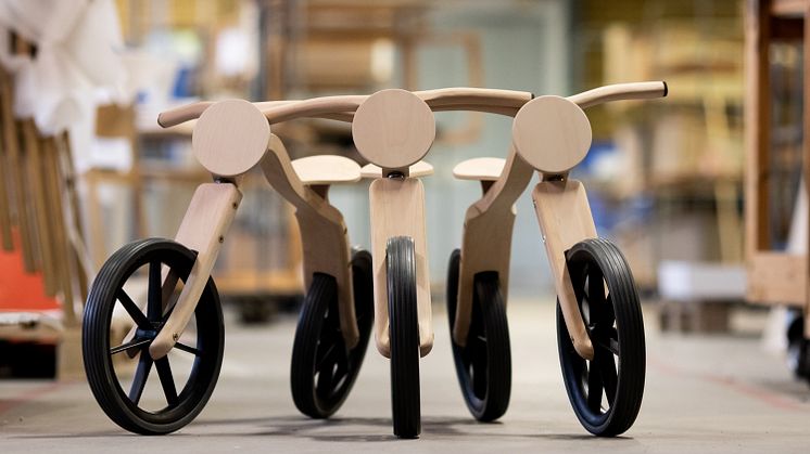 The Lamino Bike