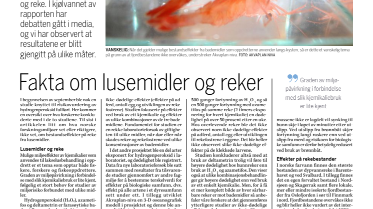 Fakta om lusemidler og reke