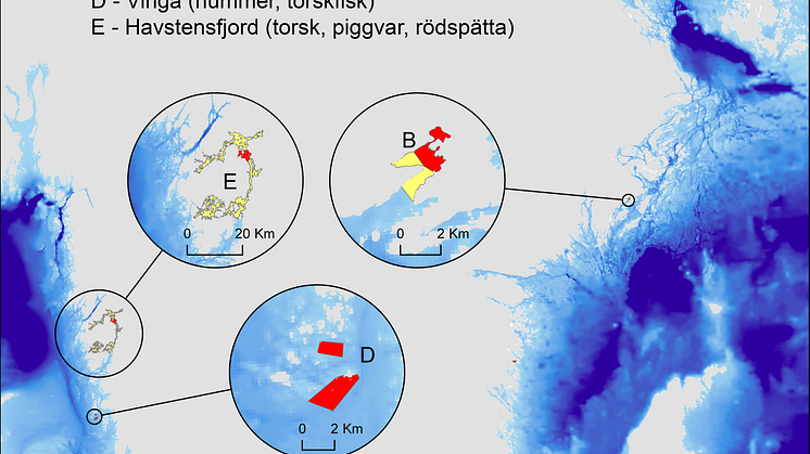 Fiskefria områden