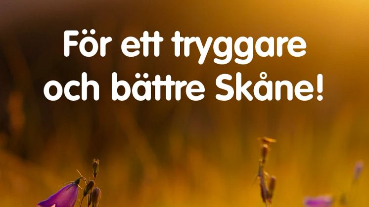 Sverigedemokraterna i Region Skåne  - Budgetförslag för år 2022