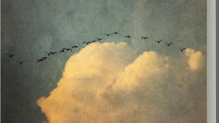 Tommie Goerz - Im Tal