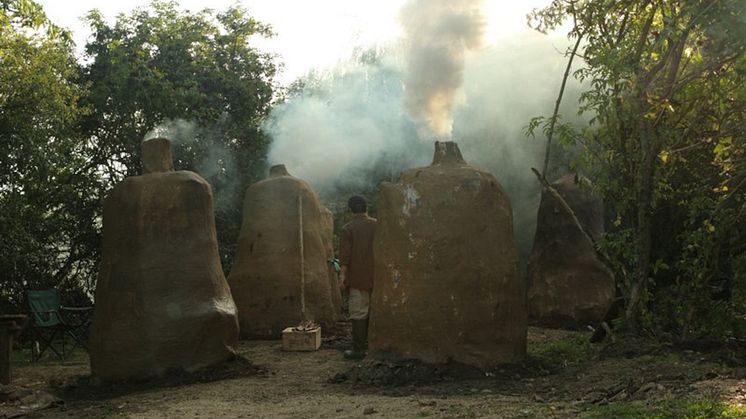 Christine Cynn Still from video earth:NOW:being (2011)