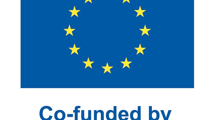 EN V Co-funded by the EU_POS.jpg