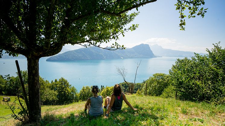 Wandern an der Rigi (c)Luzern Tourismus