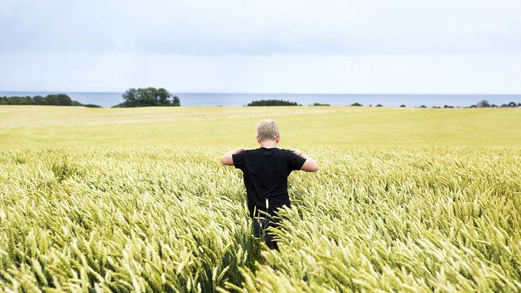 Foto: Symbolbilder