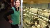Hallorens chokladmuseum i Halle 