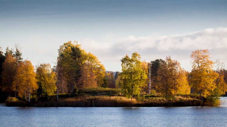 Läget på elmarknaden oktober
