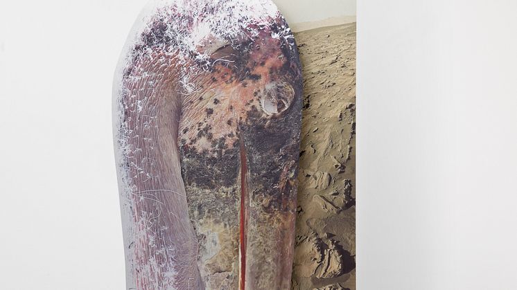KATJA NOVITSKOVA. Mars Potential (marabou), 2015. Digital print on two layers of aluminum, cutout display.Courtesy, the artist, Kraupa-Tuskany  Zeidler, Berlin Photo by. Hans-Georg Gaul