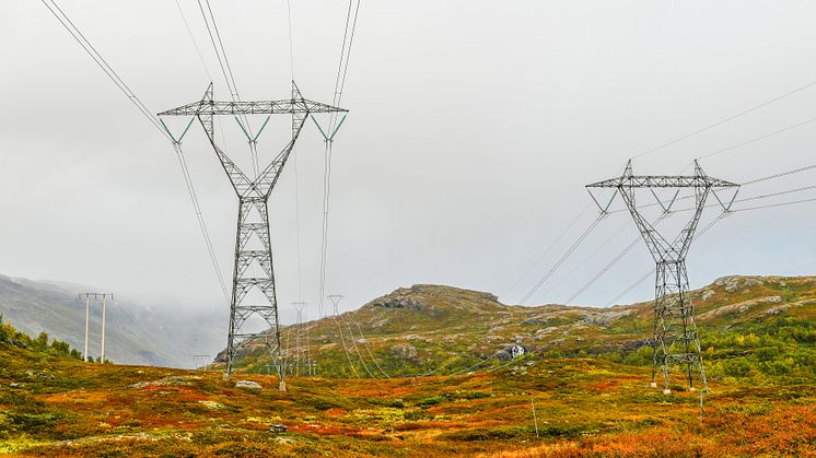 På grunn av rekordsvar norsk krone, kan strømmen bli 2000 kroner dyrere, sier leder for handelsbordet i Ishavskraft.