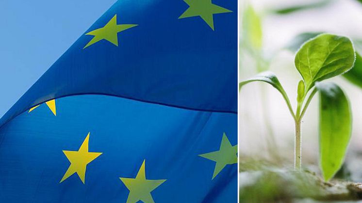 EU