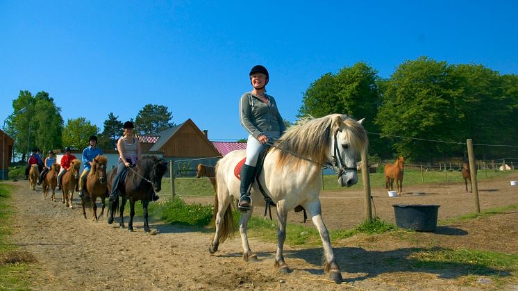Samarbetsprojekt ska göra sydöstra Skåne till en besöksdesitantion inom hästnäringen.