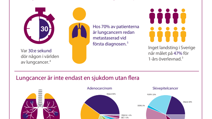 Lungcancer i Sverige Infografik