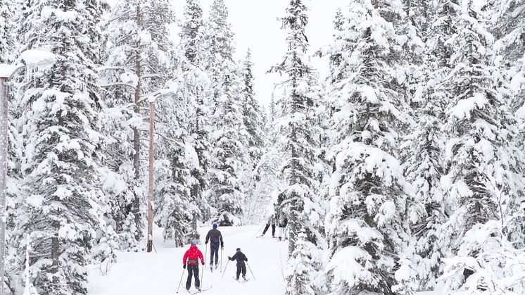 Hemsedal får kunstsnø i langrennsløypene