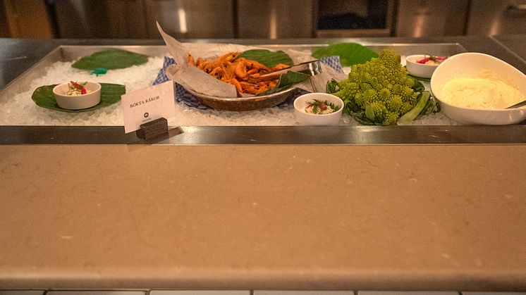 Silestone Coral Clay  (1).jpg