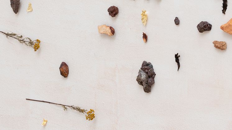 Ida Raselli, as a landscape wants the living, 2023