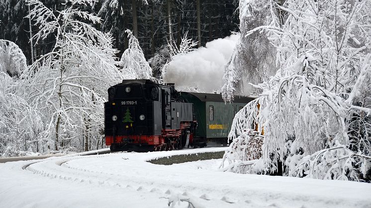 Weißeritztalbahn (Foto: SDG) 