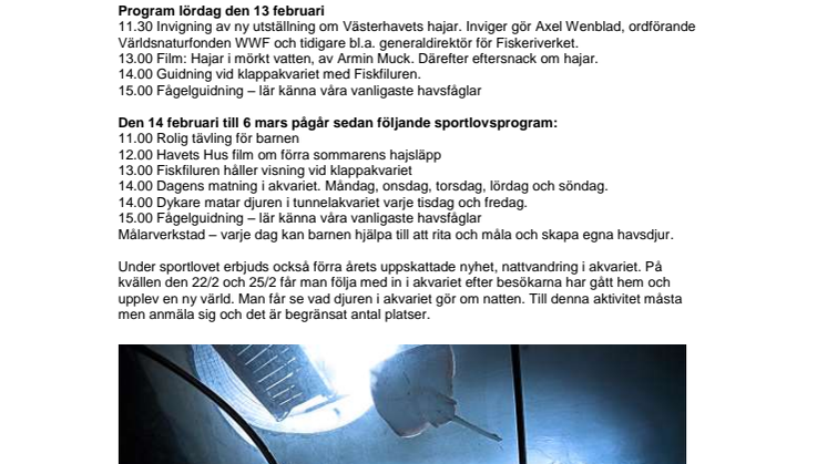Dags för sportlovsaktiviteter på havets Hus!
