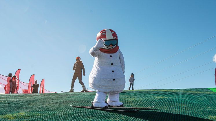 SummerSki
