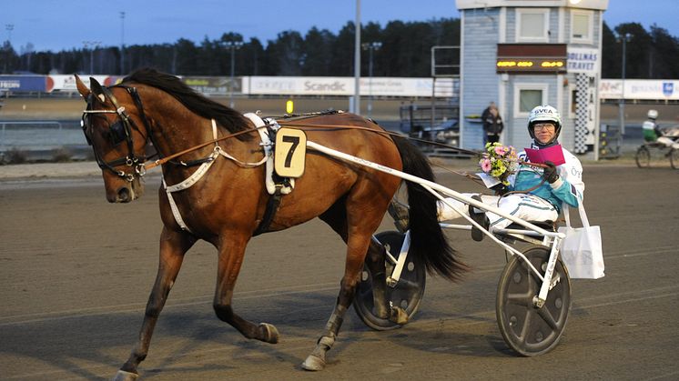 Delicious U.S. klar för Elitloppet Benders