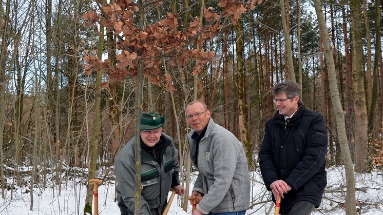 Zur Eröffnung des Aktionsjahres "Waldgebiet des Jahres 2018" wurde im Wermsdorfer Wald eine Eiche gepflanzt