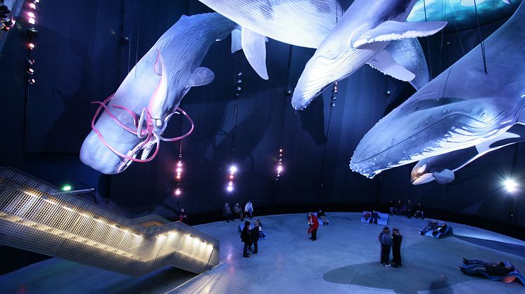 Årets museum i Europa: Ozeaneum i Stralsund 