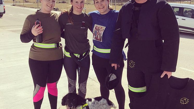 ​Flintshire woman raises more than £700 for the Stroke Association, inspired by her family