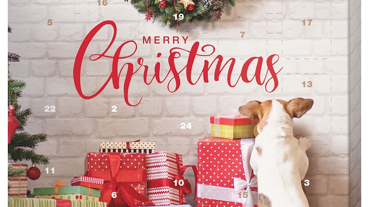 PREMIERE Adventskalender für Hunde, UVP: 6,99 €