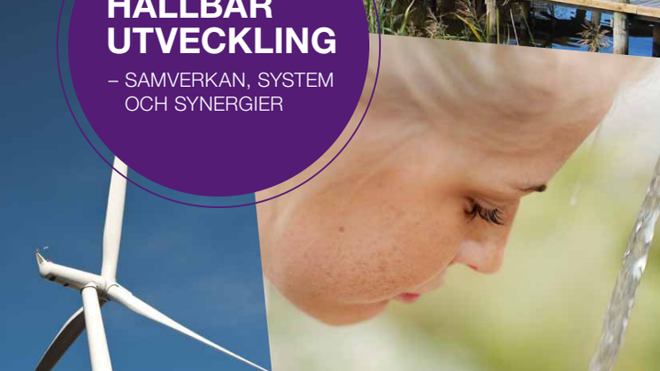 Svenska Teknik&Designföretagen position paper: Hållbar utveckling