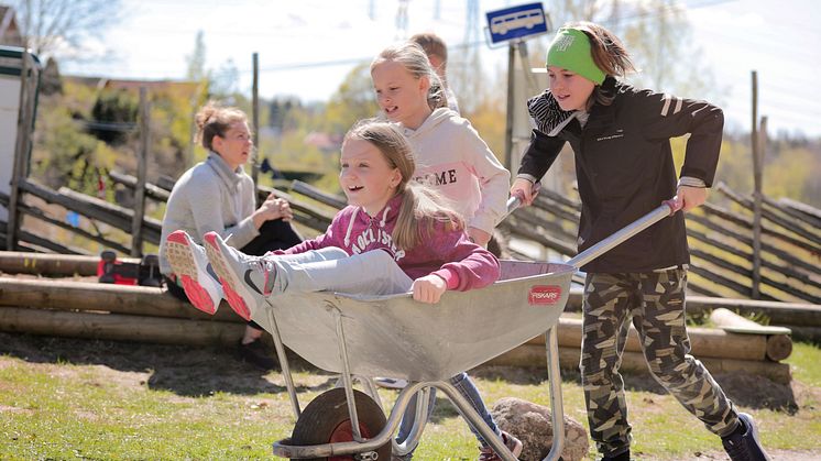 Etablering av Nordby skolehage Foto: Birgitta Eva Hollander 