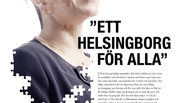 Profilers bild av visionen5