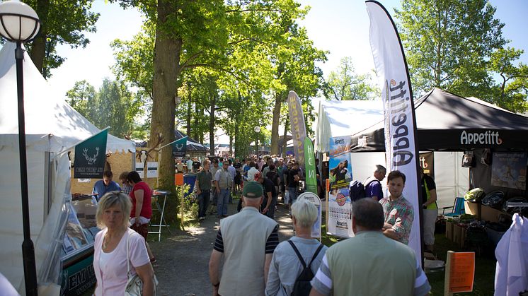 Vilda diskussioner på Elmia Game Fair